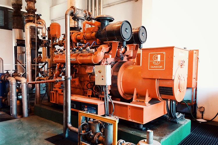 motogenerador de energía biogas